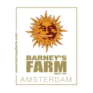 SHISKABERRY (SHB) - Barneys Farm