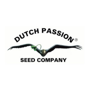 WHITE WIDOW (WW) - Dutch Passion