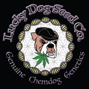 DOUBLE KRUSH (DK) - Lucky Dog Seed Co.