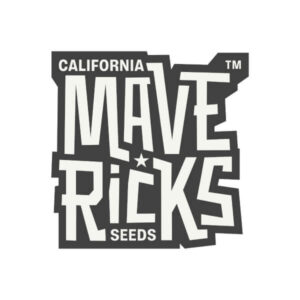 GELATO 33 (G33) - Mavericks Genetics
