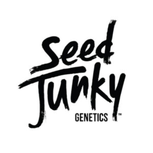 HIPPY CRASHER (HC) - Seed Junky Genetics - clone only