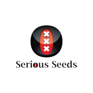 AK 47 (AK) - Serious Seeds