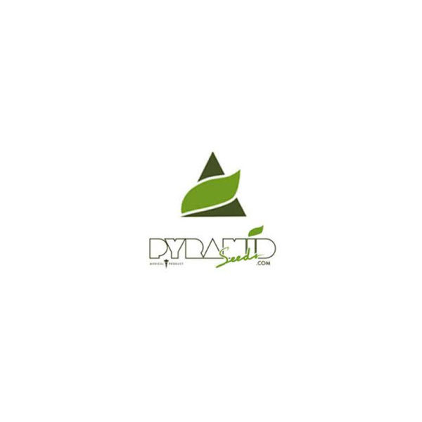 Pyramid seeds