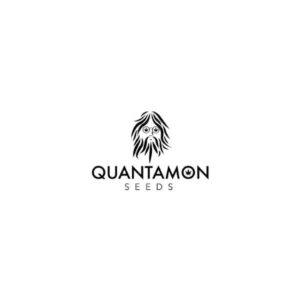 Quantamon seeds