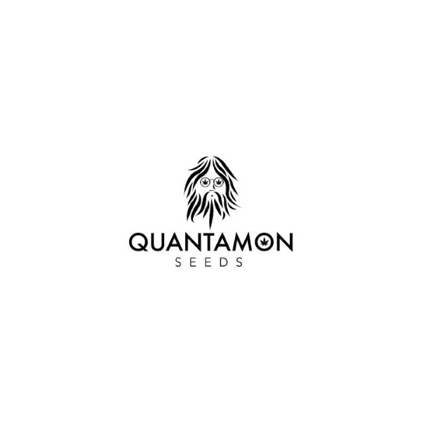 Quantamon seeds