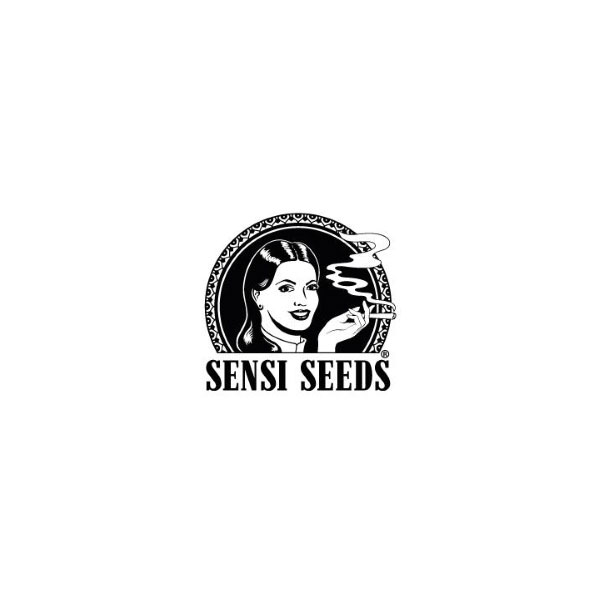 Sensi seeds