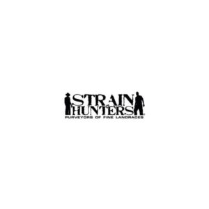 Strain Hunters seeds