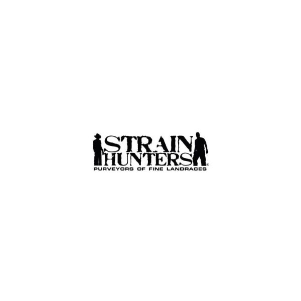 Strain Hunters seeds