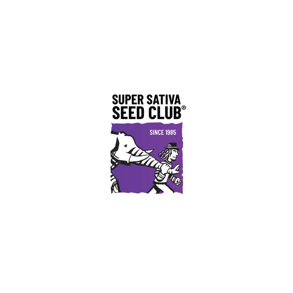 Super Sativa Seed Club seeds