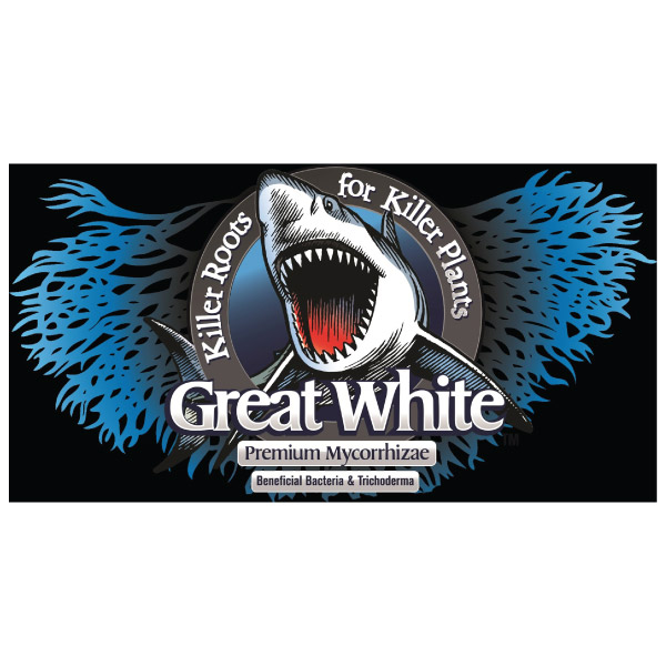 Great White